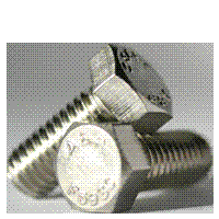 HEX CAP SCREW SS HEX CAP SCREW SS