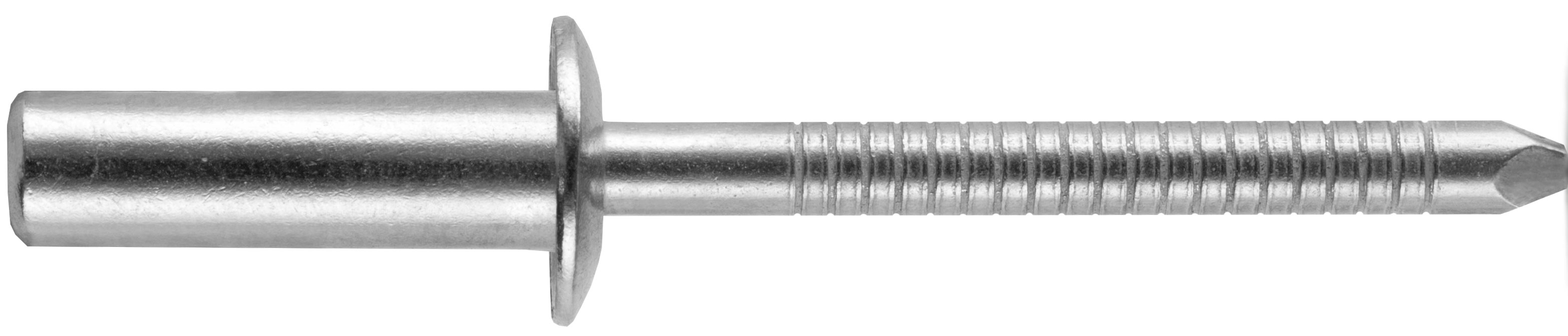 CF-/FBF41CE/IR 1/8" X .291 (.020-.062 GRIP) ALL STAINLESS CLOSED BR, ROHS COMPLIANT