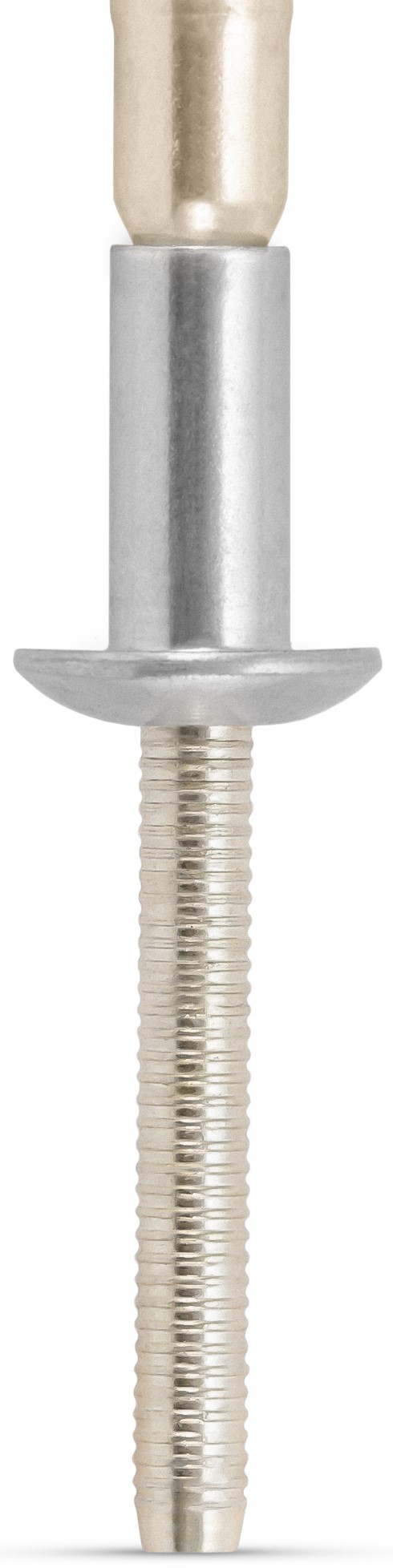 TIGERBOLT TIGERBOLT