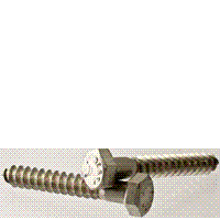 HEX LAG BOLT SS