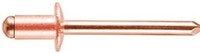 CF-/CBS42/EP 1/8 X .275(.020-.125 GRIP) COPPER/ COPPER PLATED STEEL MANDREL, ROHS COMPLIANT